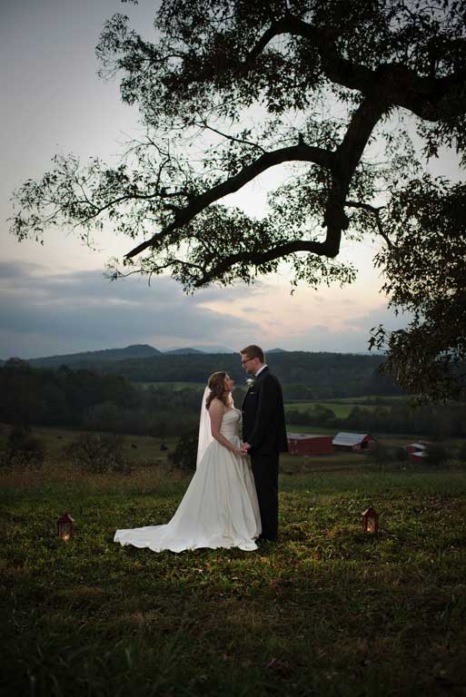 The Century Oak at Oak Hill Farm.  Appear Photography