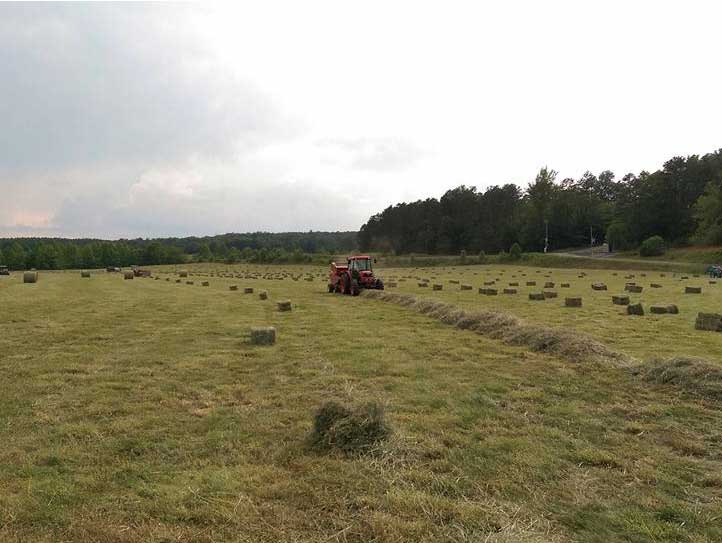 Making hay at Oak Hill Farm