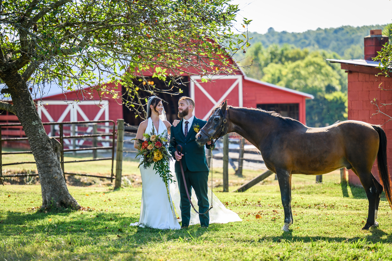 Couple with Oak Hill horse Kharnelian Bey, Mozingo Photography
