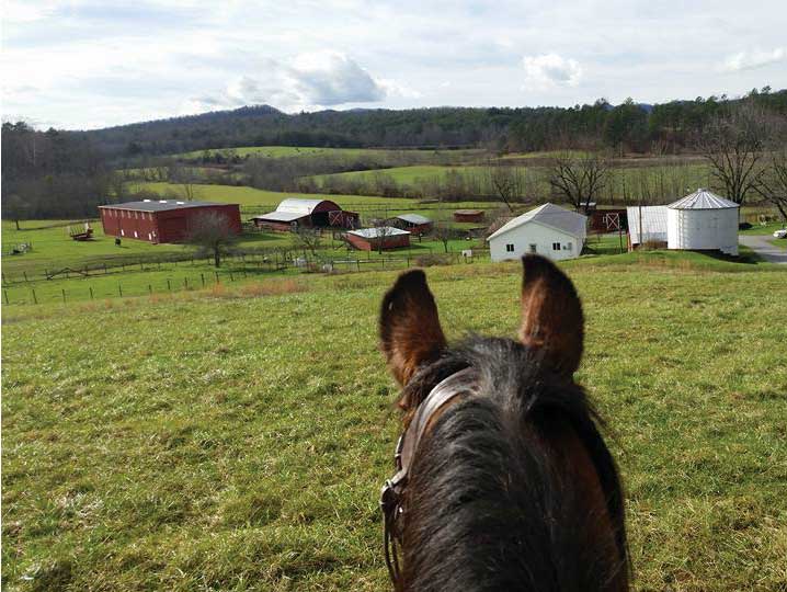 Trail riding at Oak Hill Farm